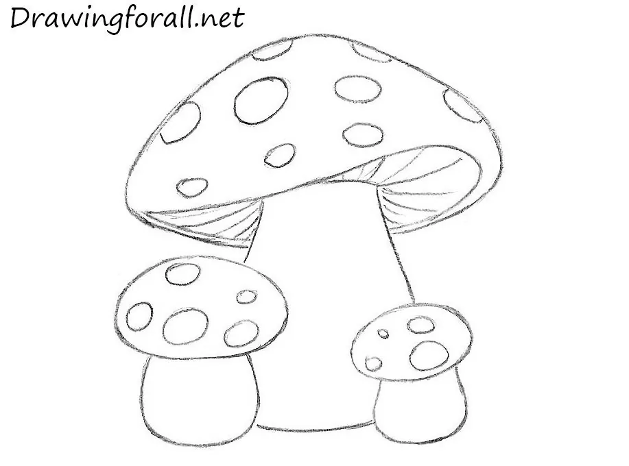 Drawing For All — How to Draw Mushrooms for Kids