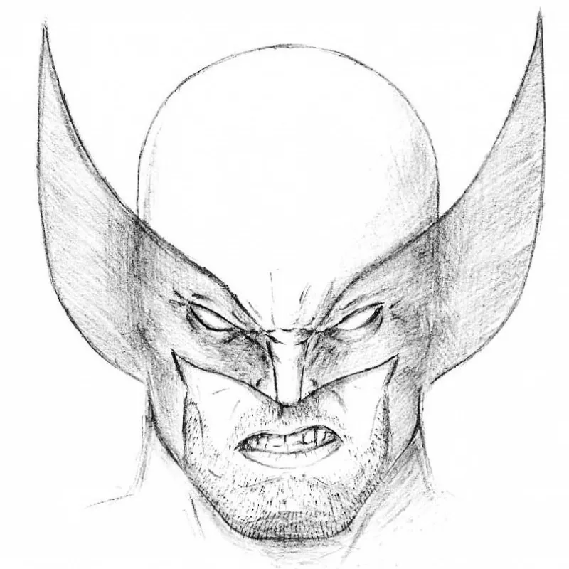 Share more than 74 wolverine sketch art latest - seven.edu.vn