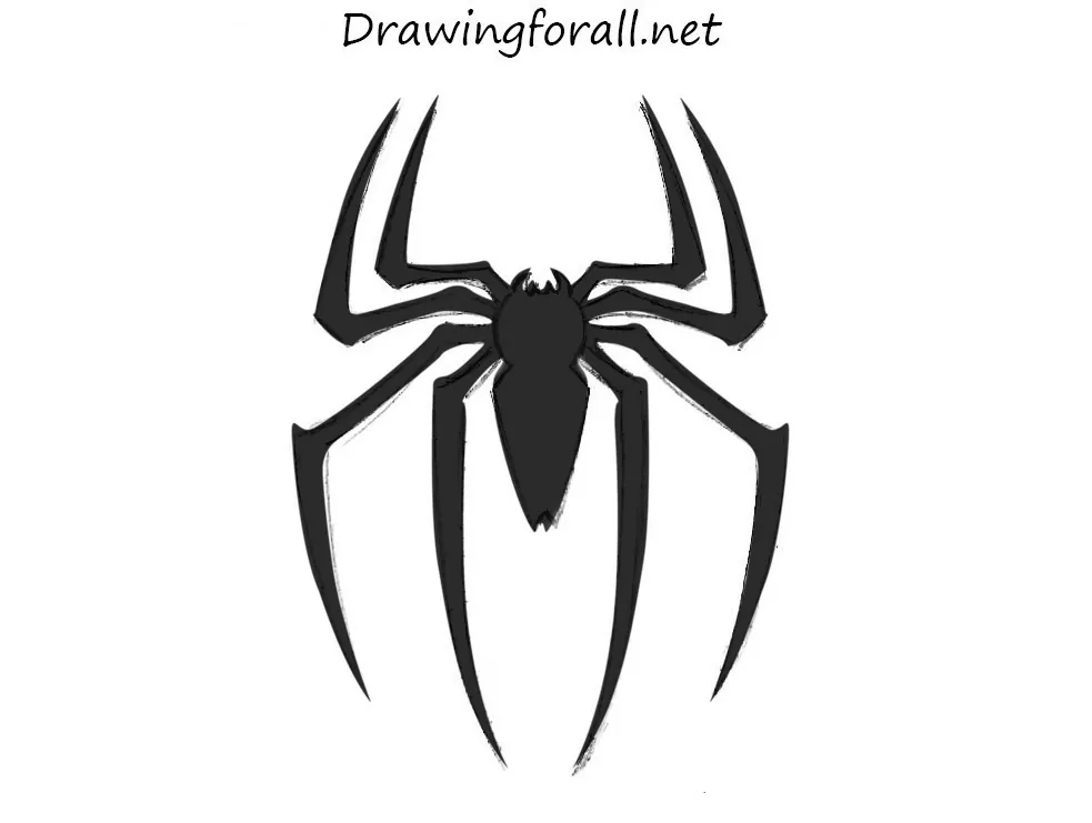 Black Spider Vector Hand Drawing Line Art Illustration Isolated on White  Background Tattoo Design Stock Vector  Illustration of animal creepy  174303312