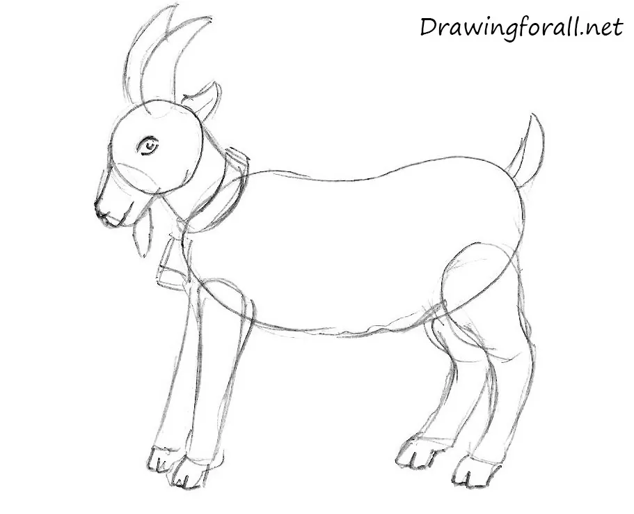 how to draw a goat step by step for kids