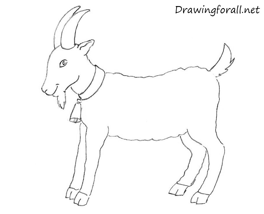 Goat Drawing Easy Step by Step For Kids or Beginners