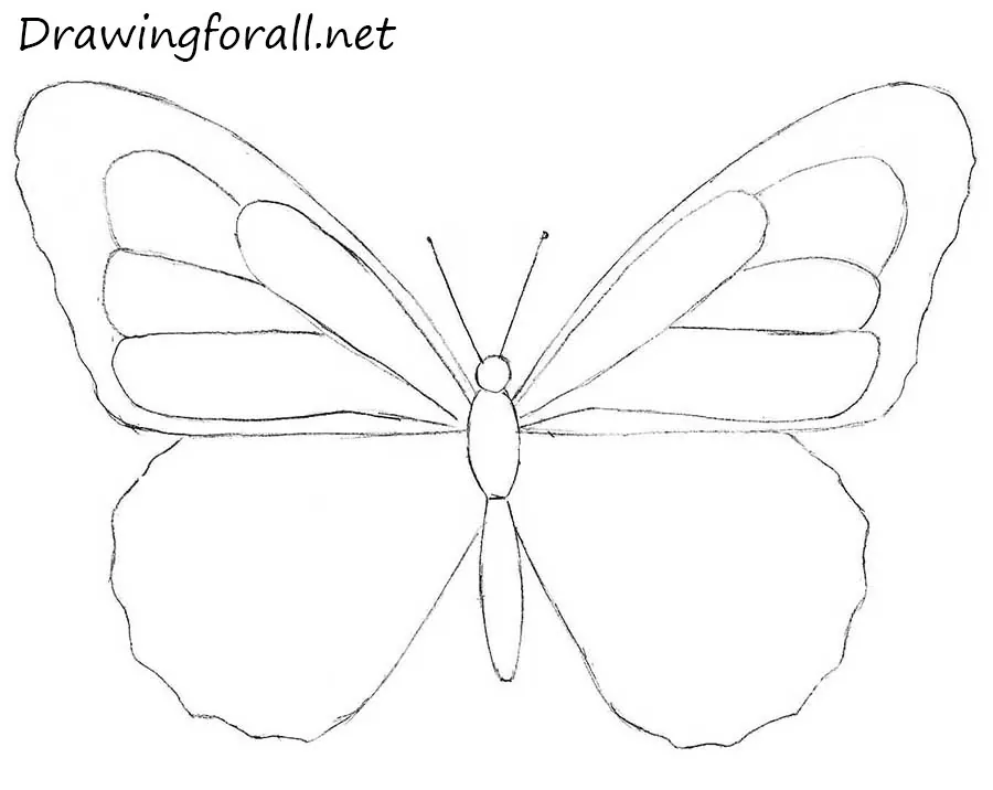 how to draw a butterfly for kids