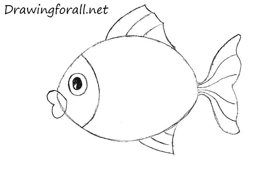 Drawing a Cartoon Fish with Easy Sketching Instructions  How to Draw Step  by Step Drawing Tutorials
