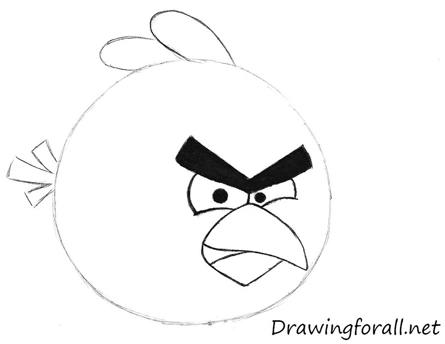 angry birds drawing red