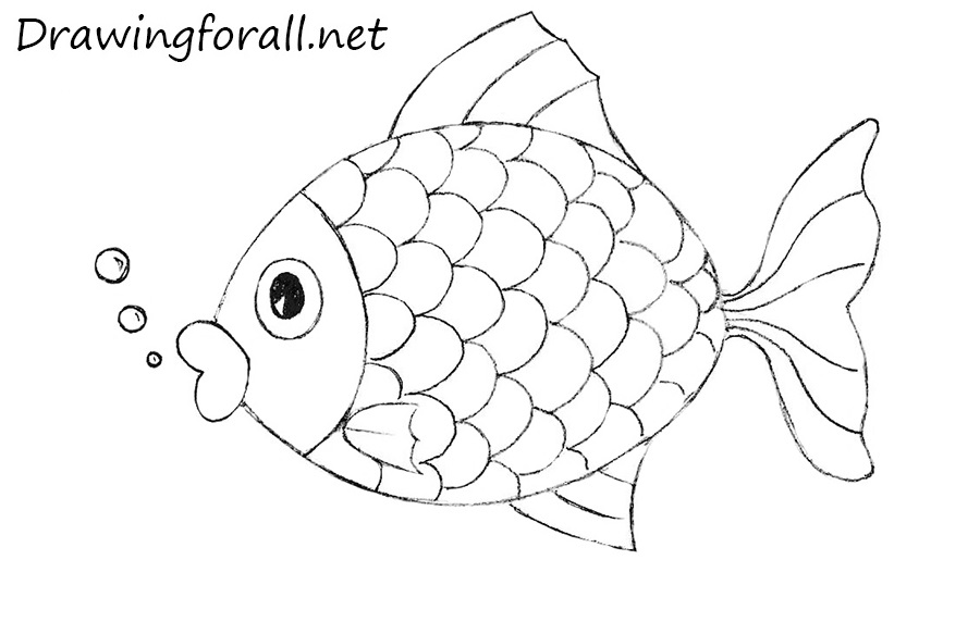 Fish Drawing For Kids  Drawing for kids  Facebook