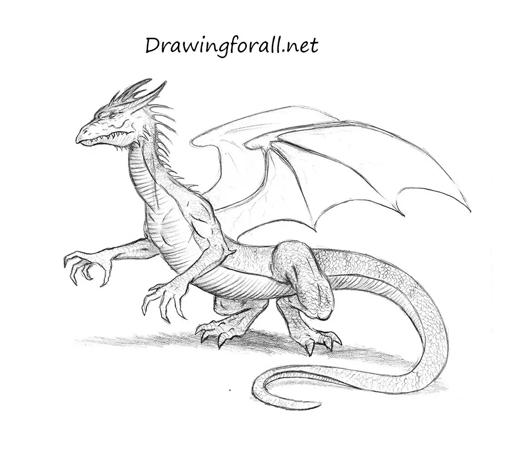 How to draw a dragon - step-by-step pictorial instruction