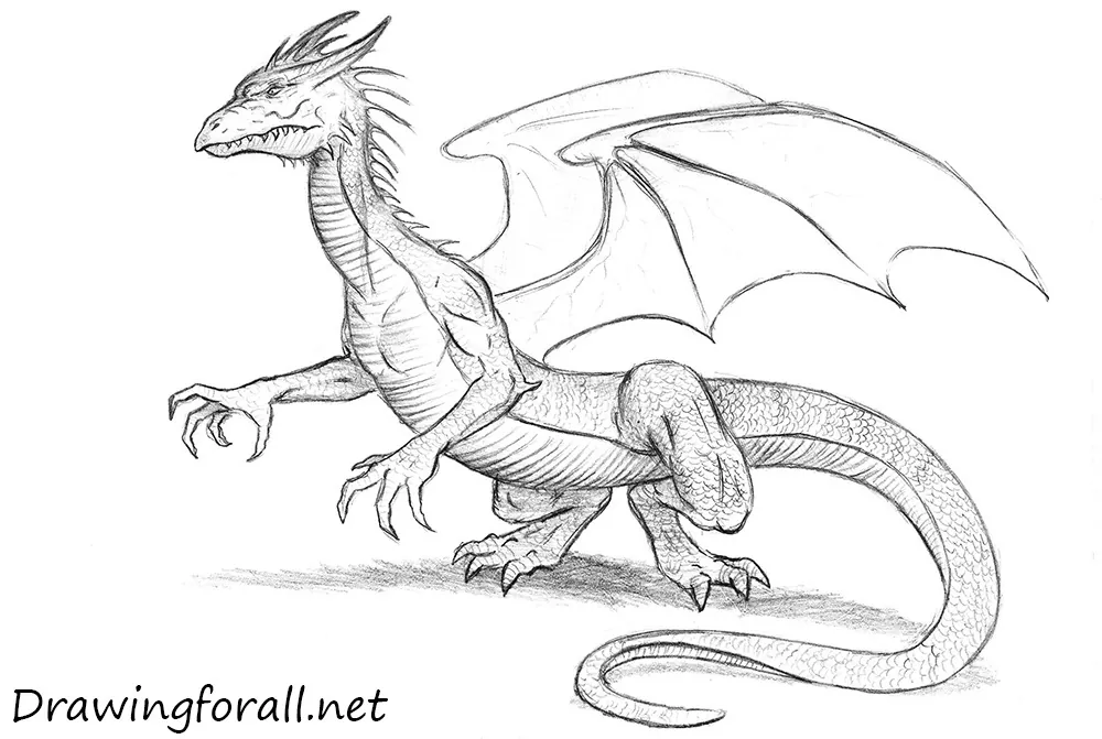 How to Draw Fantastical Dragons with a Touch of Realism