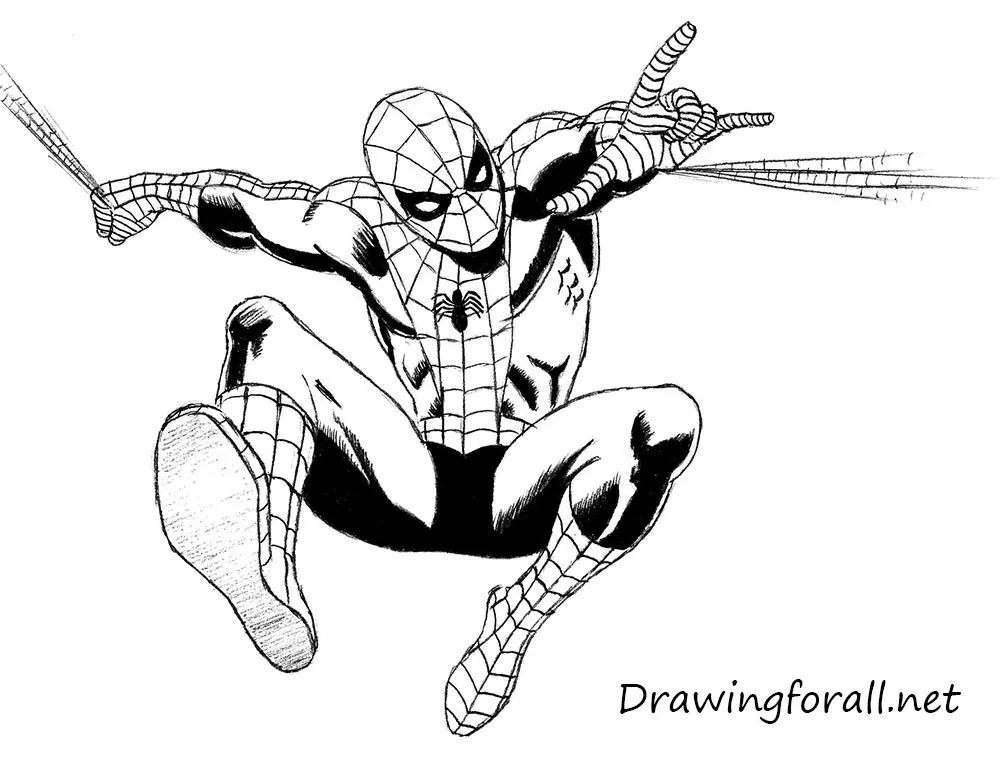 Spiderman Drawing by Felix Leer - Pixels