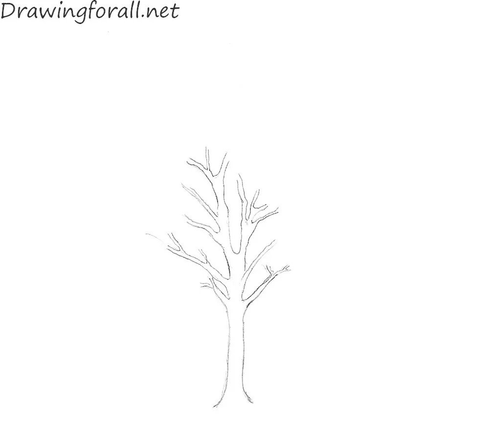 Branched Tree Without Leaves Sketch Engraved Large Growing Oak Nature  Concept Hand Drawn Vintage Vector Illustration Stock Illustration -  Download Image Now - iStock