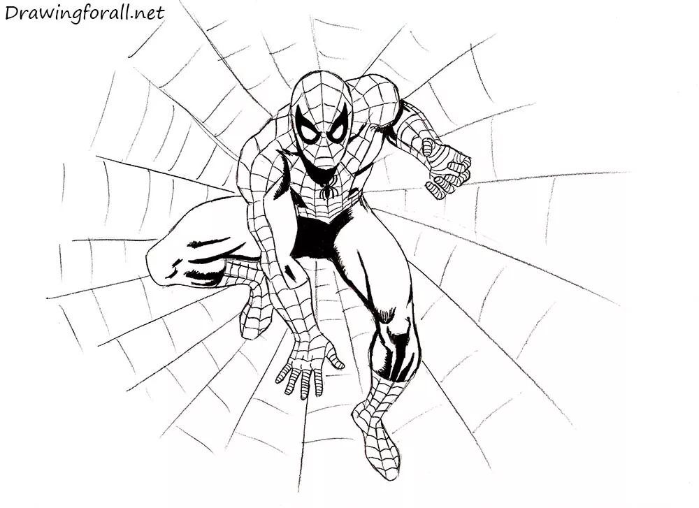 How to Draw SpiderMan Step by Step  Easy Drawing Tutorial For Kids