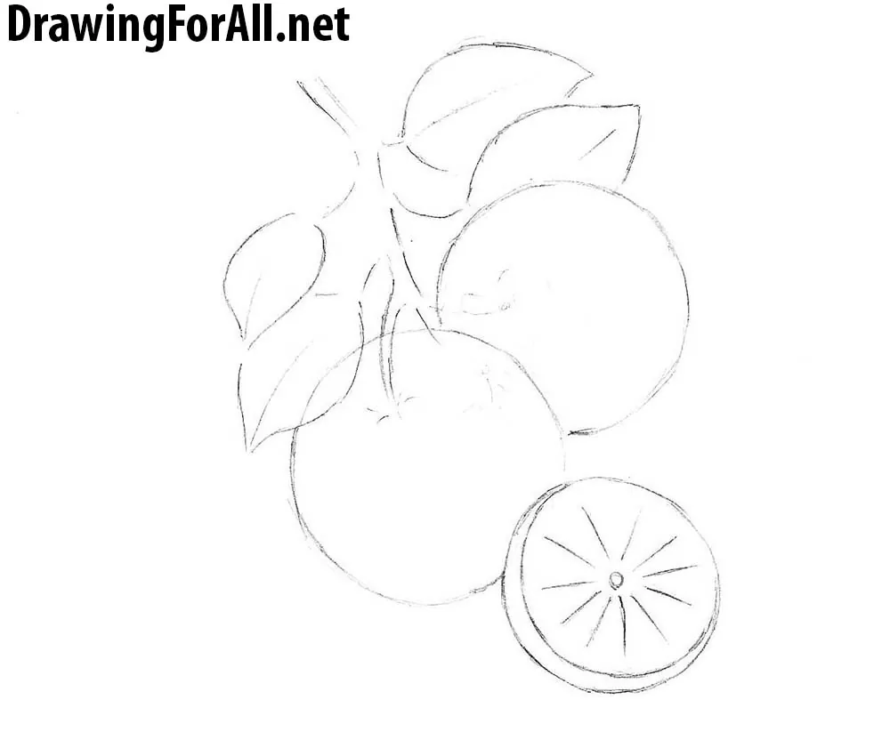 3 how to draw an orange with a pencil step by step.jpg