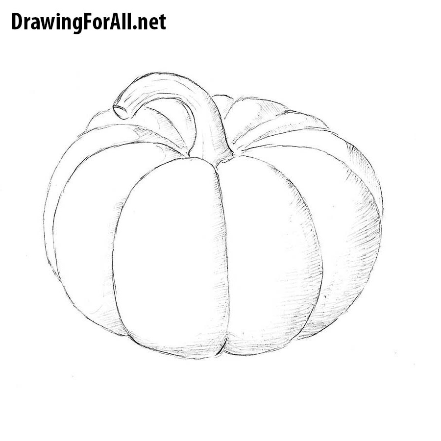 simple pumpkin drawing