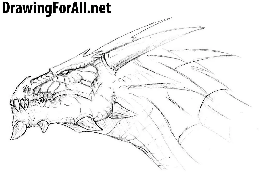baby dragon | Baby dragons drawing, Cute dragon drawing, Dragon coloring  page