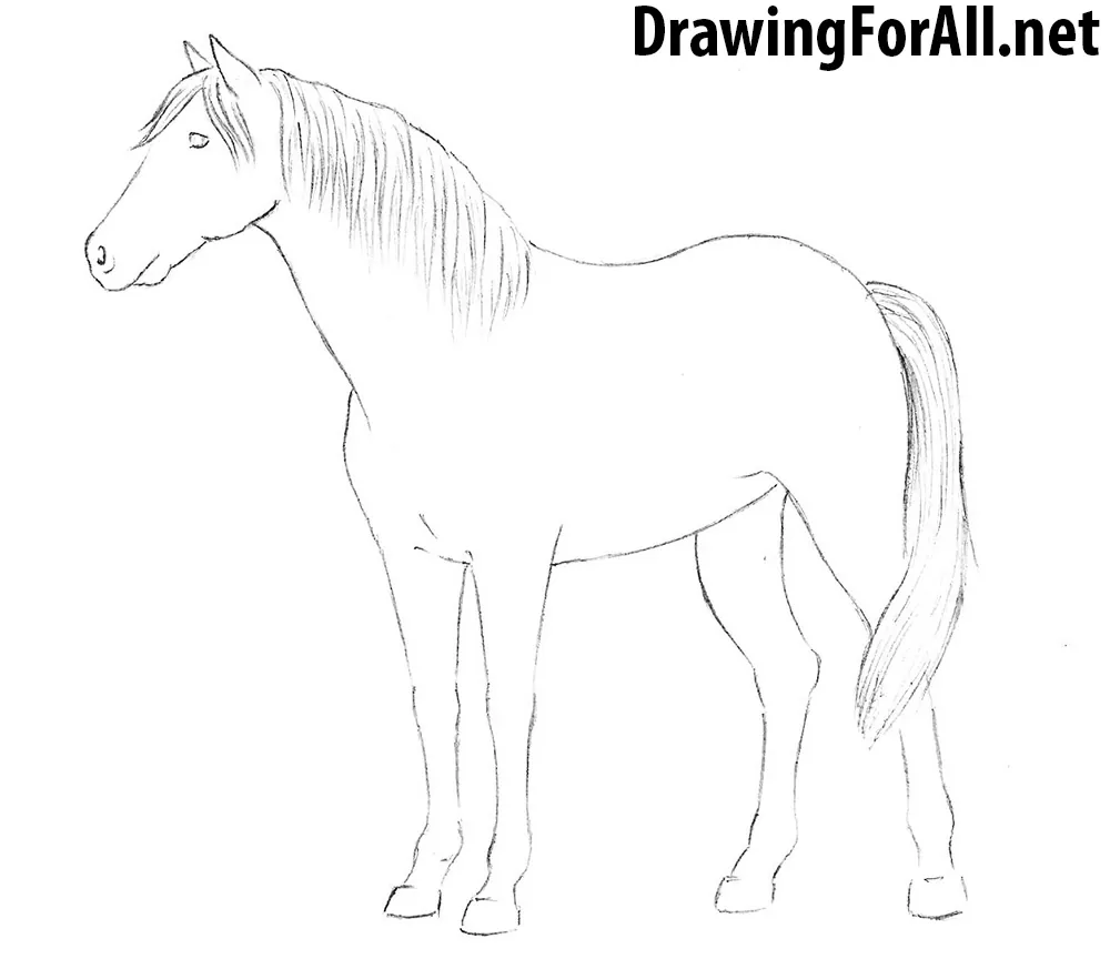 Drawing horse of warrior samurai animal Royalty Free Vector
