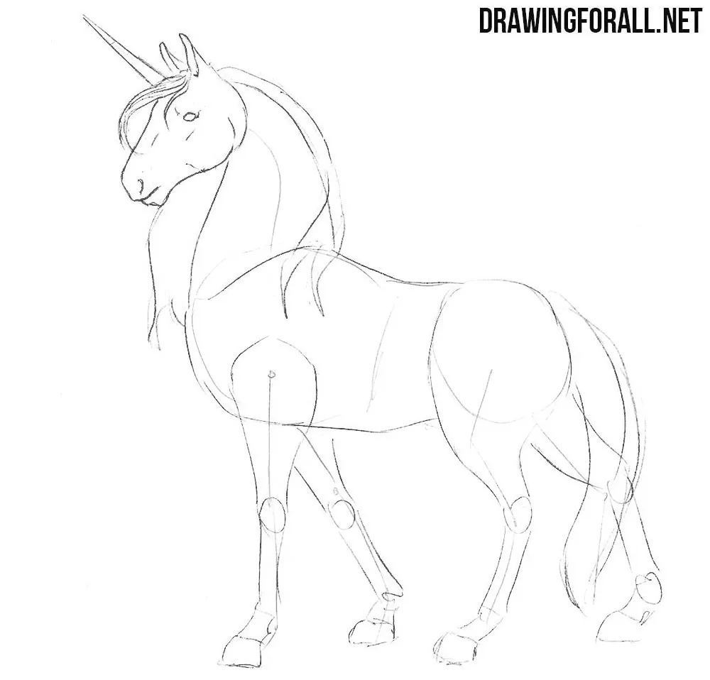 Learn How to Draw Unicorn Head (Unicorns) Step by Step : Drawing Tutorials