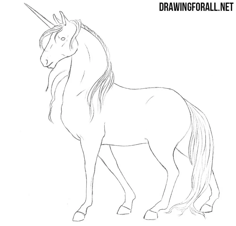 Unicorn Pencil Drawing  How to Sketch Unicorn using Pencils   DrawingTutorials101com