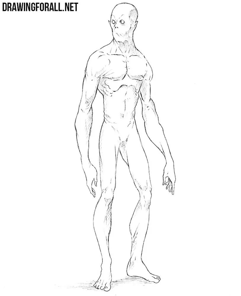 Top 74+ anime body outline - in.cdgdbentre