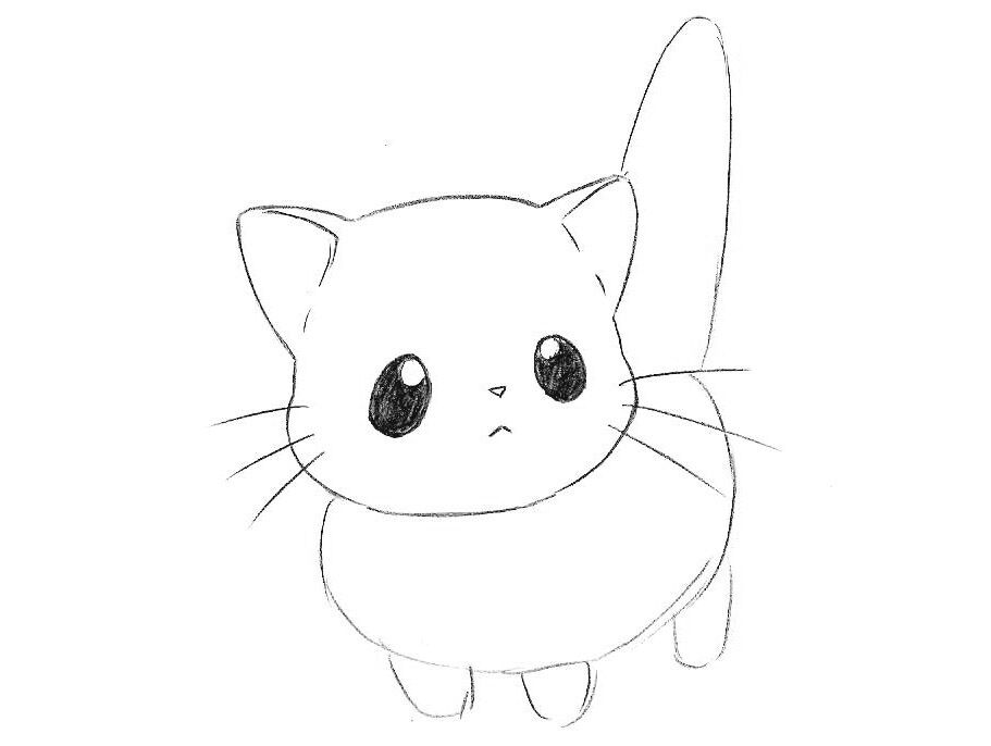 easy cat to draw