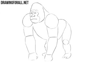 gorilla drawing tutorial
