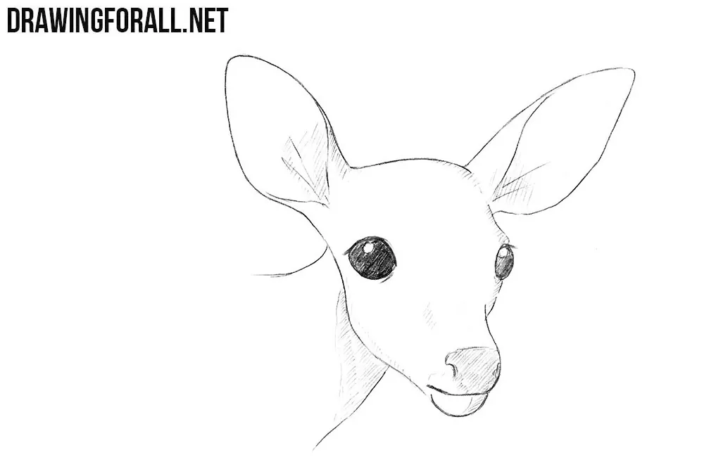 Stag Deer Head Sketch Vector  Photo Free Trial  Bigstock