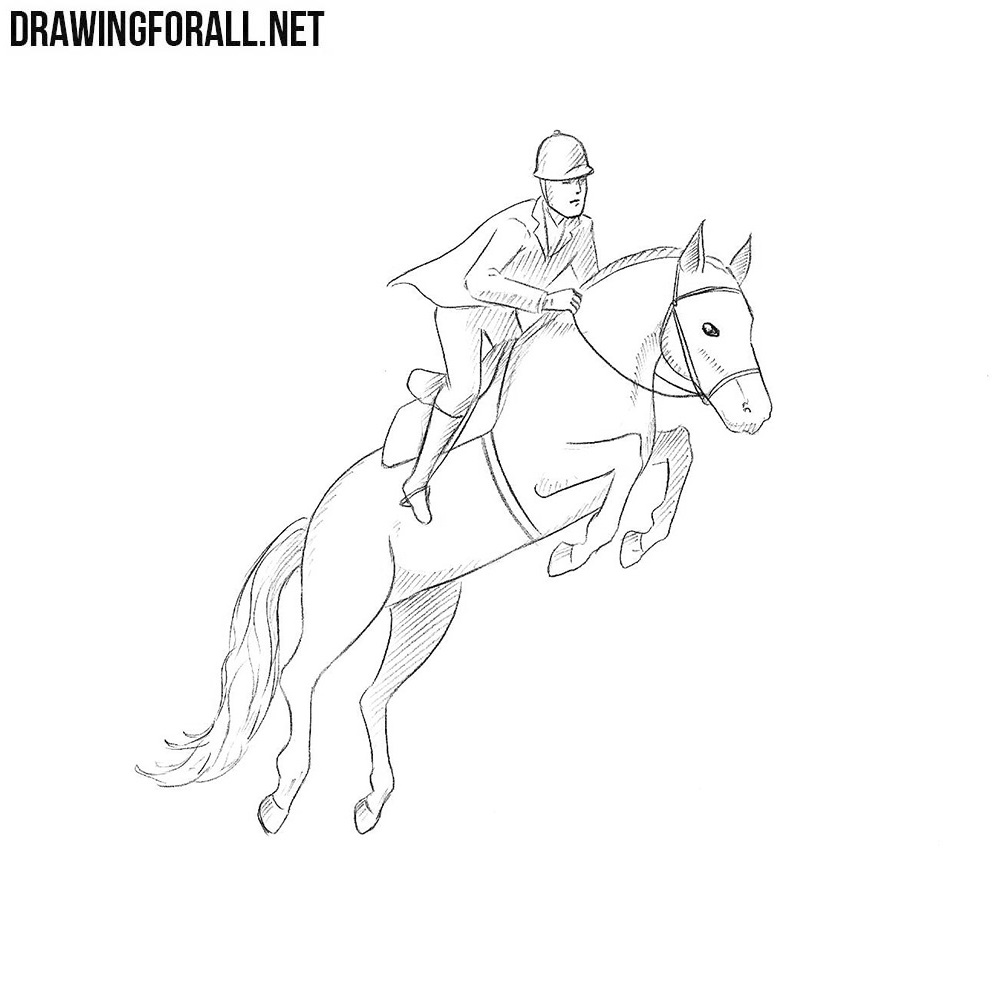 Friesian Horse Dimensions & Drawings | Dimensions.com