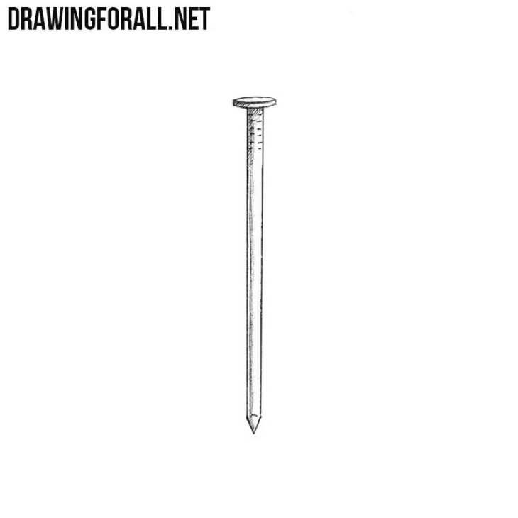 How to draw a nail | Drawingforall.net