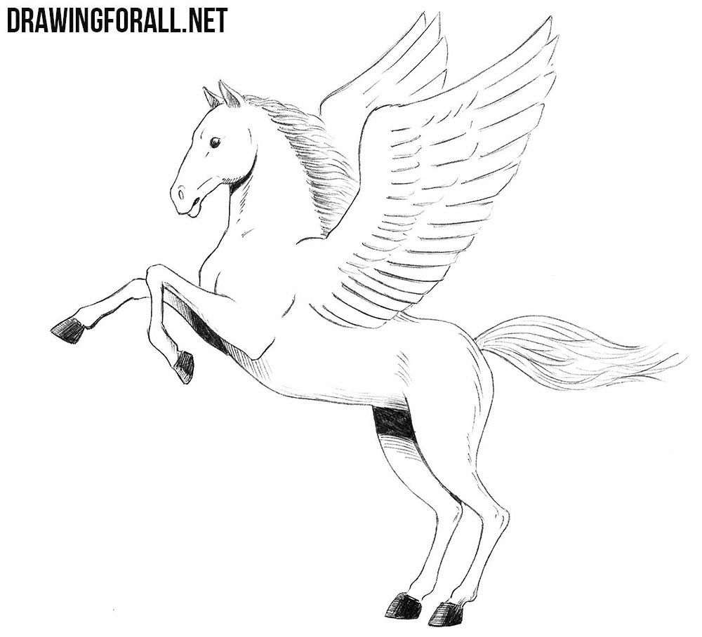 How To Draw A Pegasus | art-kk.com