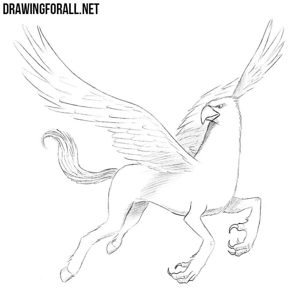 Hippogriff Drawing : Hippogriff Dougherty | Leadrisers
