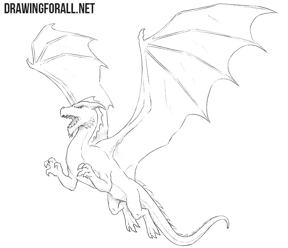 how to draw an anime dragon