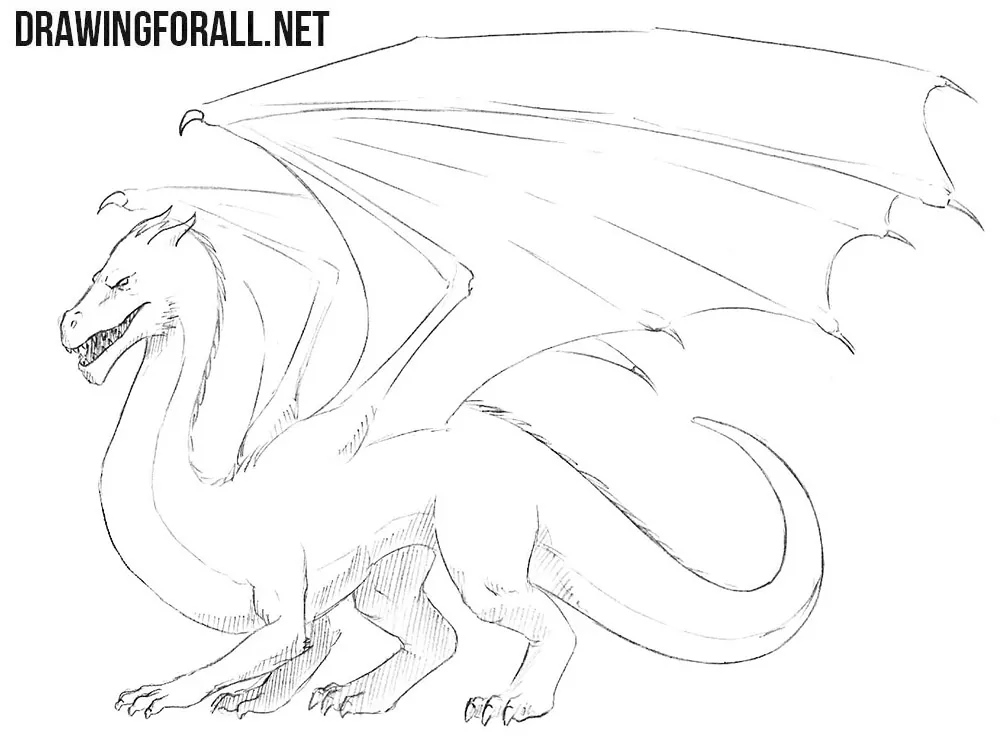 Line art Drawing Dragon Sketch dragon line art pencil dragon monochrome  png  PNGWing