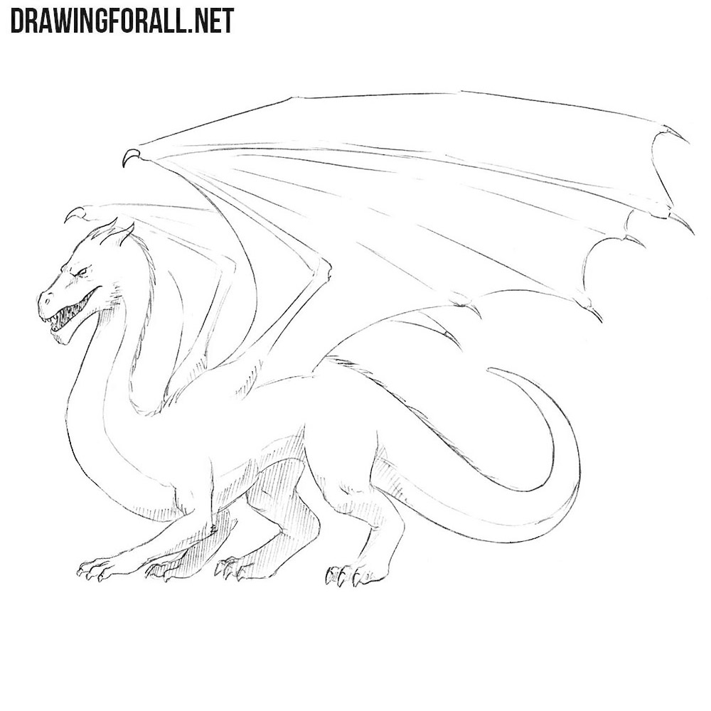 Easy Sketch Dragon Drawing Tutorial for Beginner