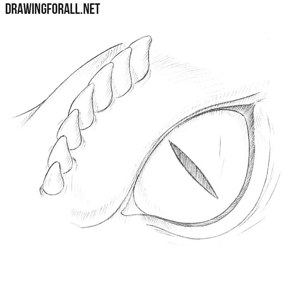 Dragon Eye Drawing Vector Dragon Eye Stock Vector (Royalty Free) 2235673917  | Shutterstock