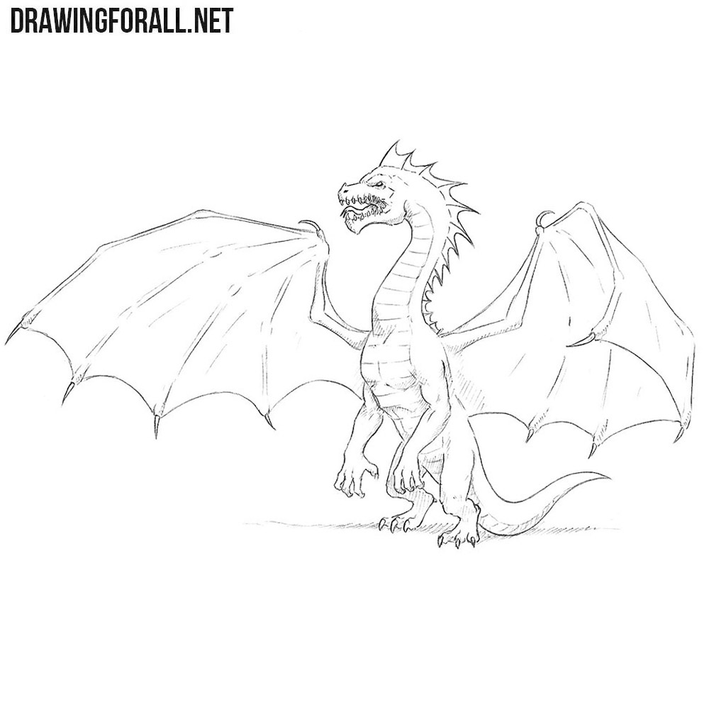 how to draw a dragon step by step for beginners on paper easy