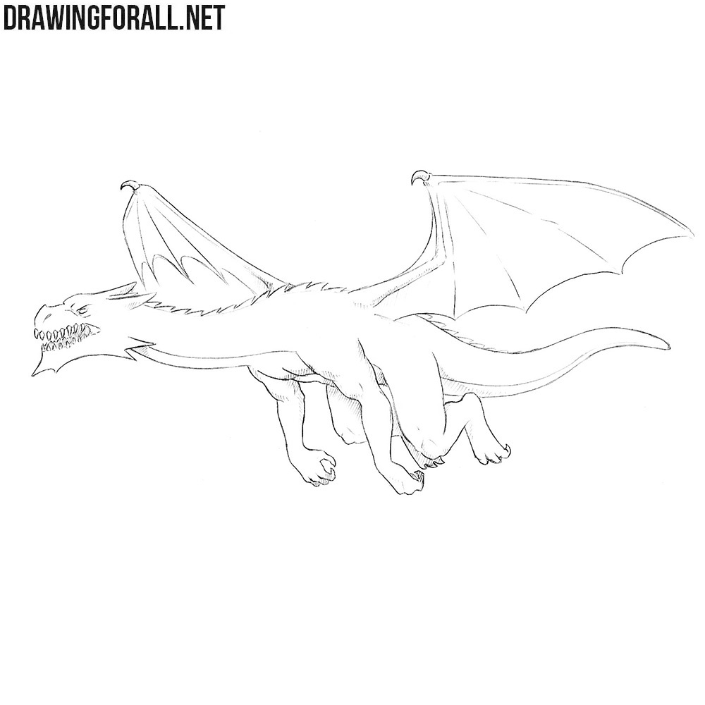 How To Draw A Dragon Flying Step By Step