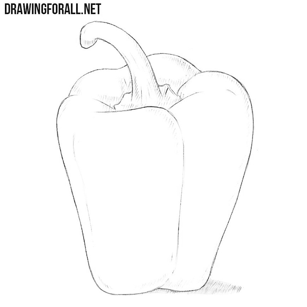 Bell Pepper Digital Sketch stock vector Illustration of pencil  149689791
