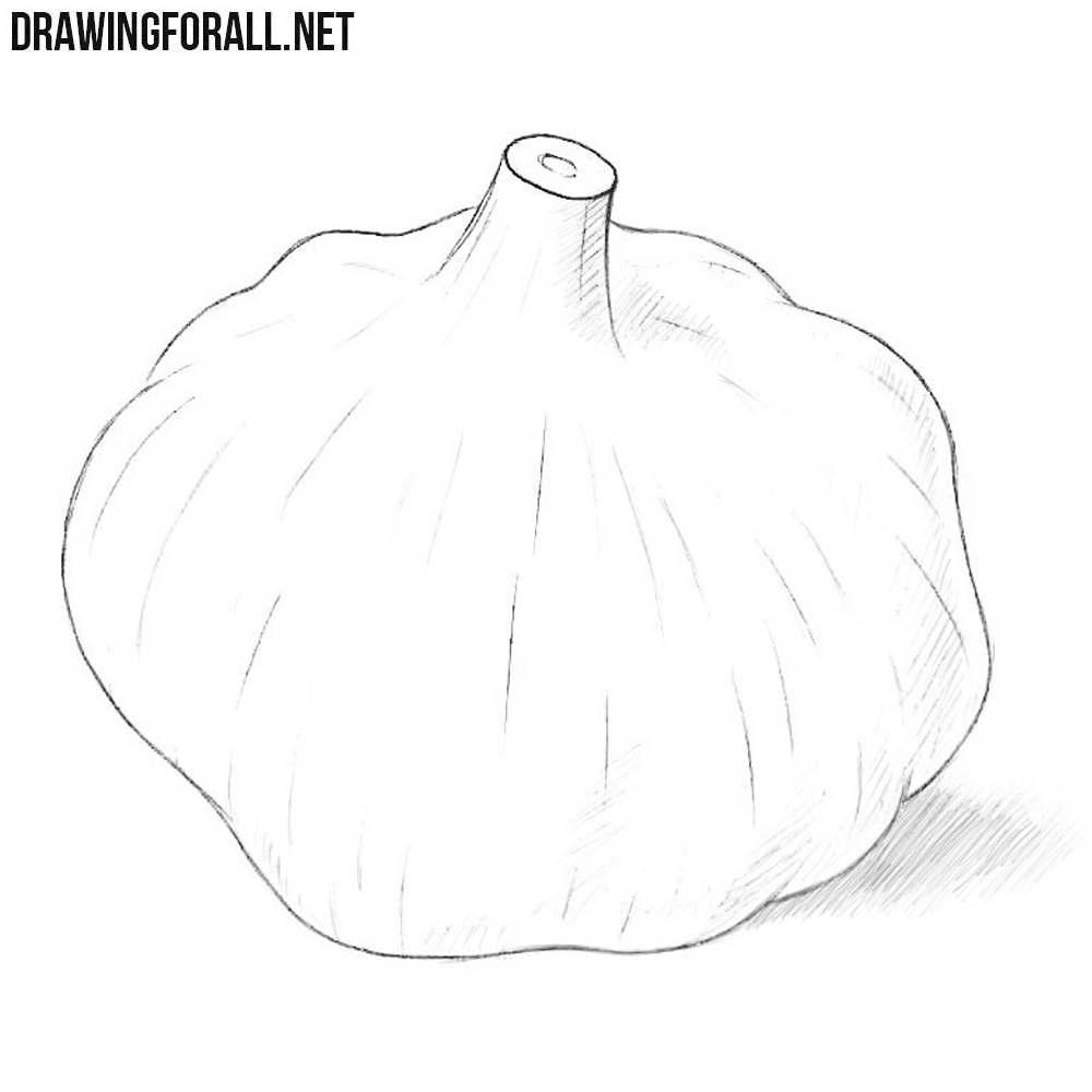 Vector Hand Drawn Set of Garlic. Stock Vector - Illustration of farm,  design: 91468630