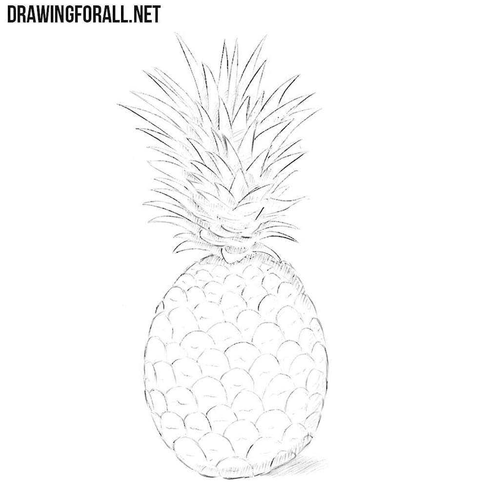 Hand Drawing A Cartoon Pineapple Using Pencils Background Easy Fun Picture  To Draw Background Image And Wallpaper for Free Download