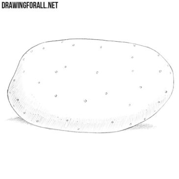 How to draw a potato | Drawingforall.net