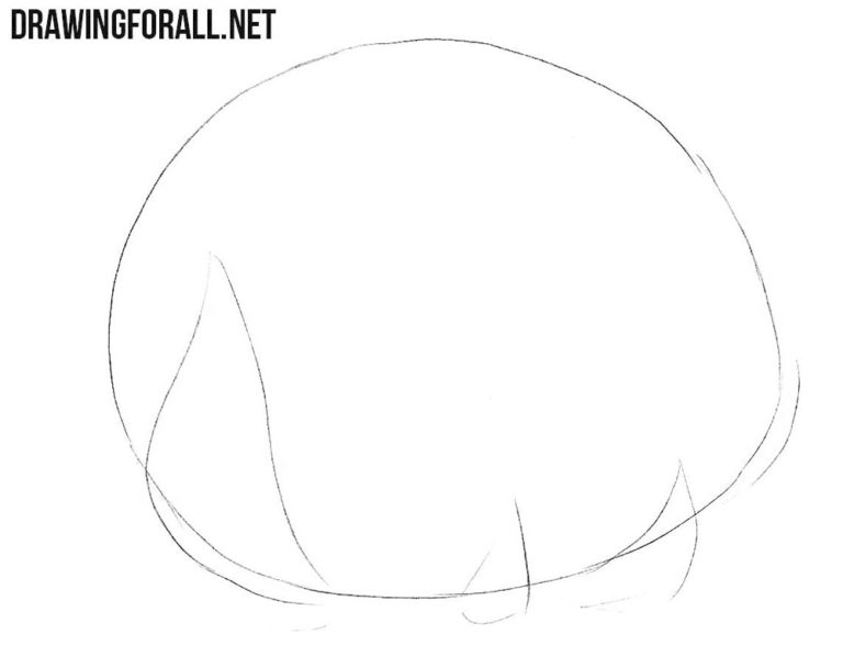 How to draw a cauliflower step by step | Drawingforall.net