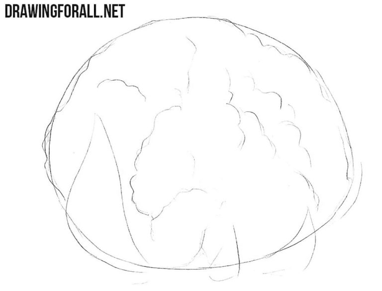 How to draw a cauliflower easy | Drawingforall.net