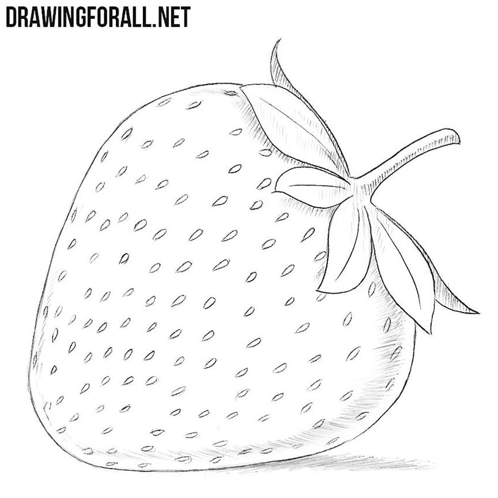 How to Draw a Strawberry  Emily Drawing