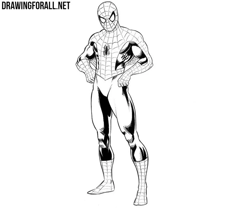 spiderman sketch standing