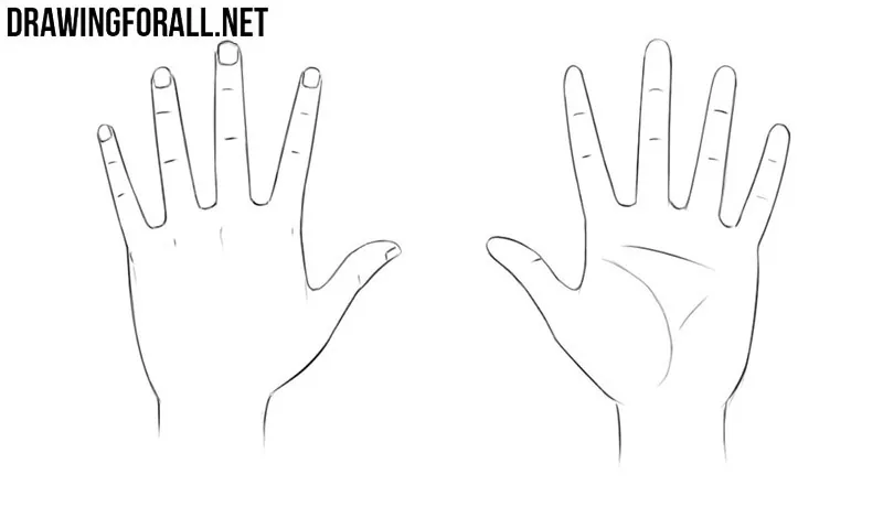 How to Draw Anime Hands: 12 Steps (with Pictures) - wikiHow