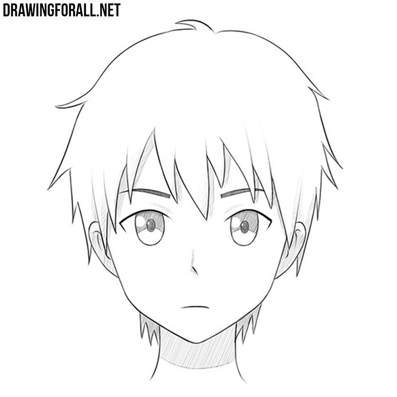 Anime Drawings Of Wolves Easy - Anime Wolf Easy Drawing, HD Png Download -  vhv