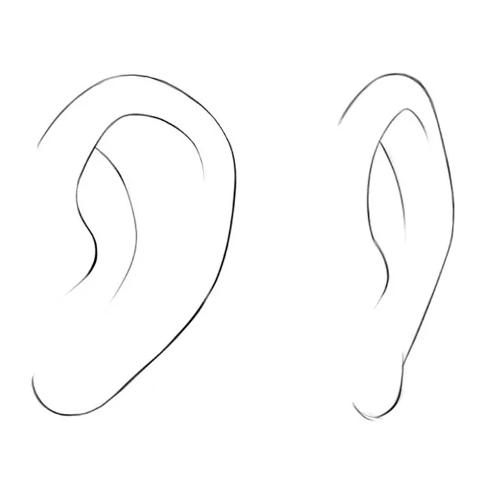 Anime Art Academy Twitterissä Drawing ears from different angles  httpstcoQH9SRJDo6w anime manga howtodraw illustration drawing  howtodrawears ears httpstcoJcfBZI8vh4  X