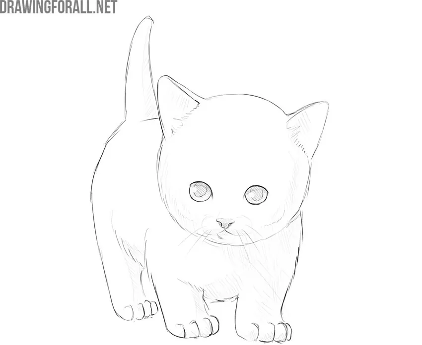 how to draw a kitten step by step for kids