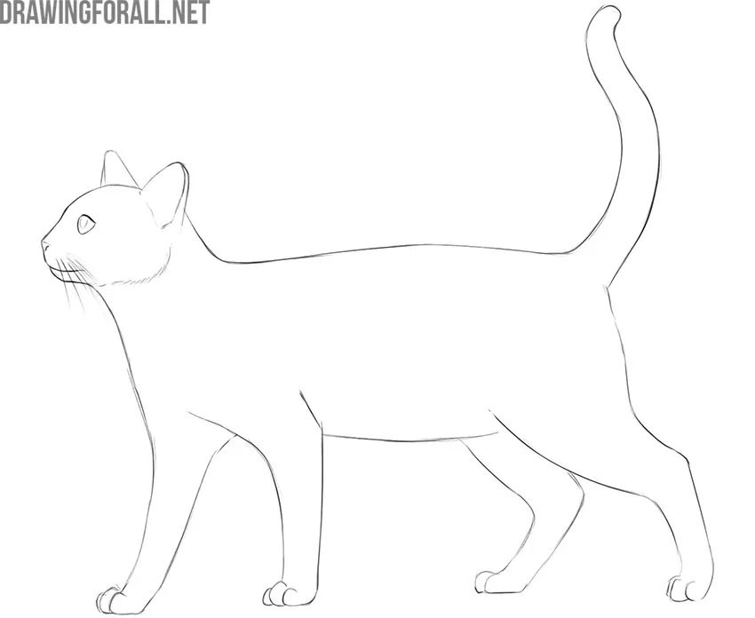 easy cat sketches