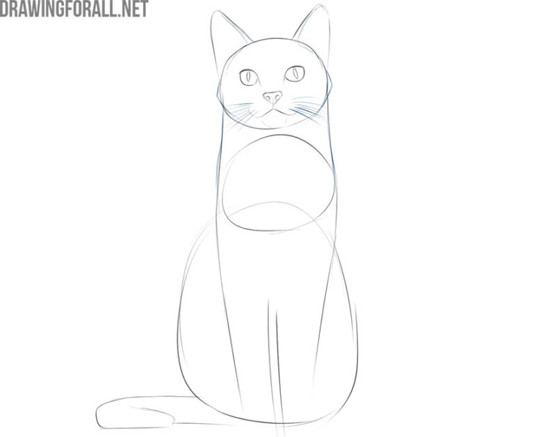 How to Draw a Sitting Cat