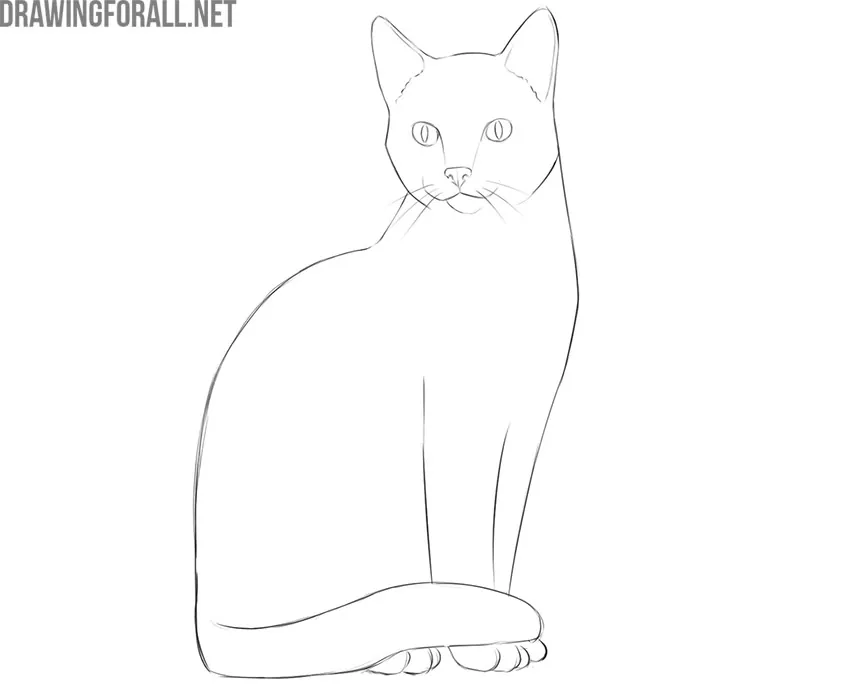 simple drawings of cats