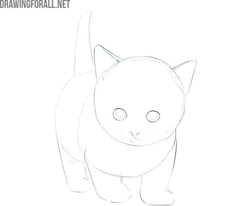 How To Draw A Kitty Cat